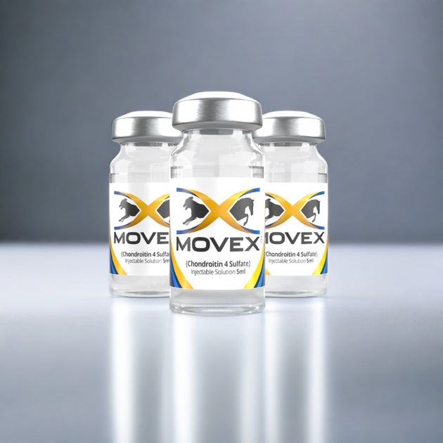 Equine Joint Support MoveX