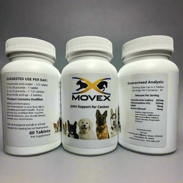 Canine – MoveX
