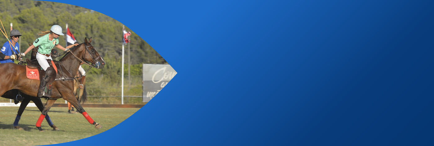 Movex | Improve Joint Health With Chondroitin 4 Sulfate IM Injections ...