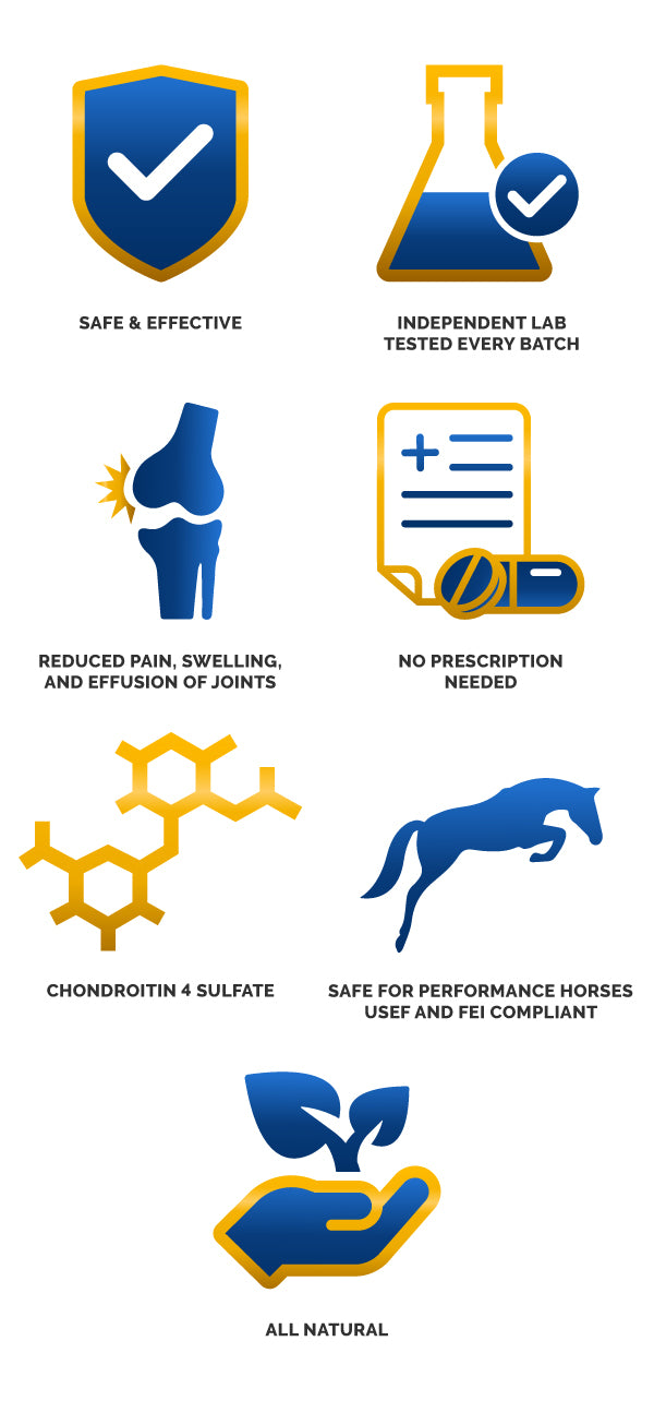 Movex | Horse Joint Health | Canine Joint Health | Joint Mobility | Inflammation Reduction | Enhanced Performance | Equine Health