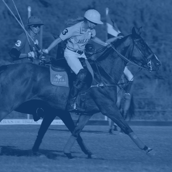 Movex | Improve Joint Health With Chondroitin 4 Sulfate IM Injections ...