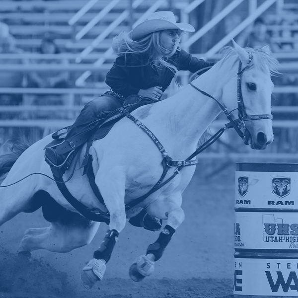 Movex | Improve Joint Health With Chondroitin 4 Sulfate IM Injections ...