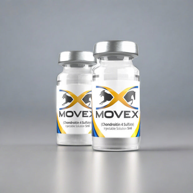 Equine 2 Vial Trial (2 Doses) | Movex | Improve Joint Health With Chondroitin 4 Sulfate IM Injections