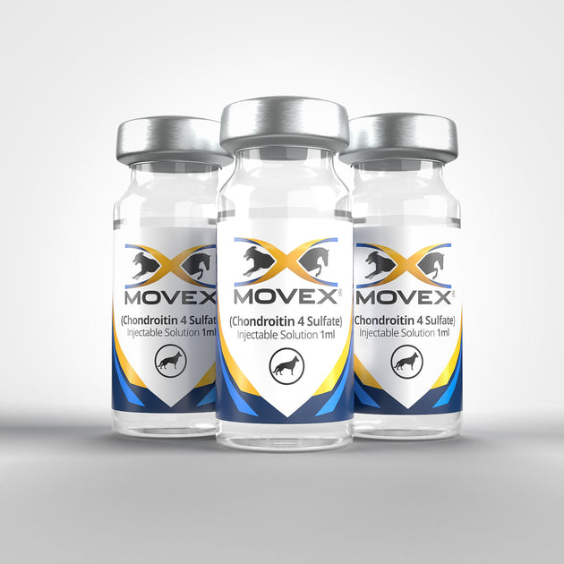 Canine – MoveX