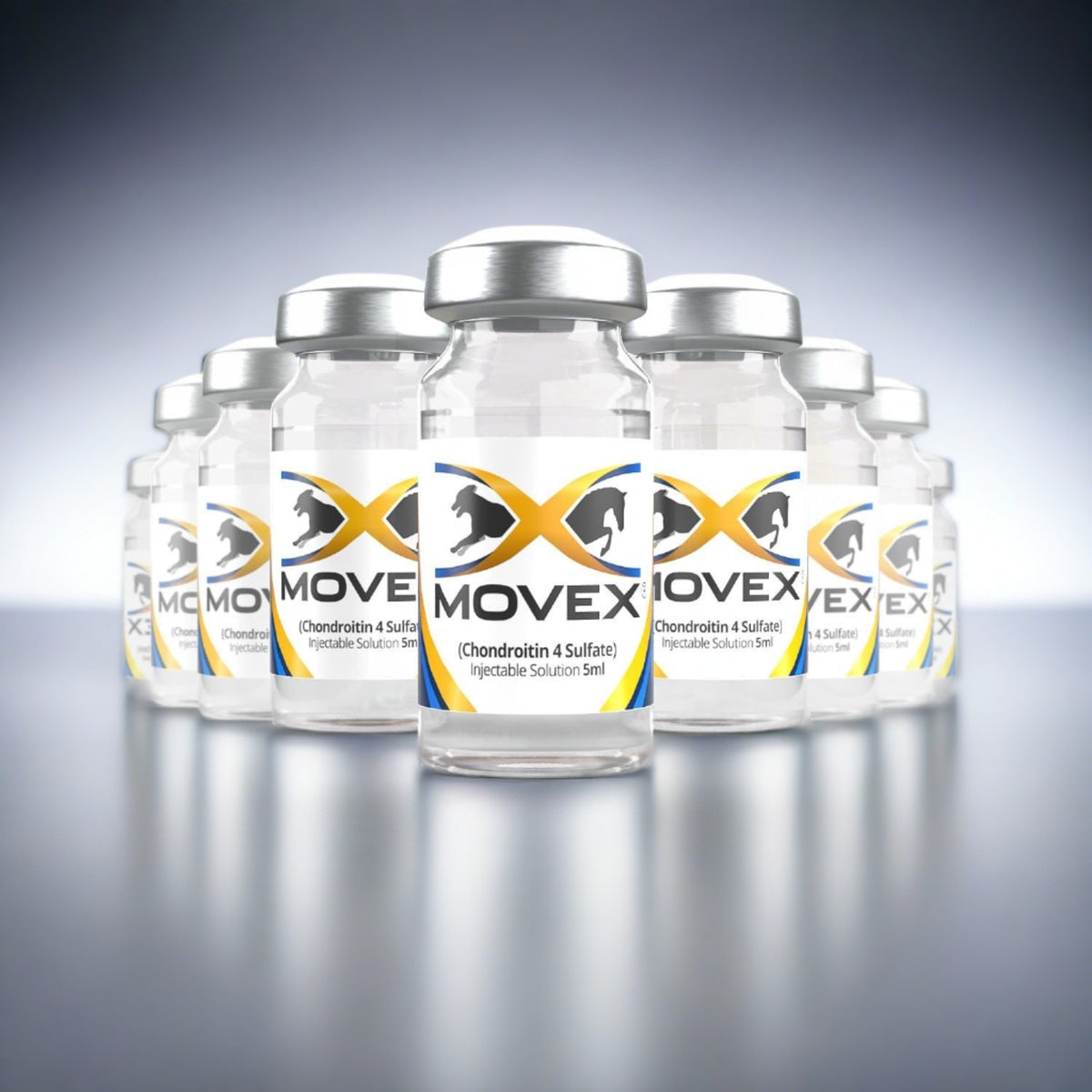 Equine Barn Starter Kit (12 Doses) | Improve Joint Health With – MoveX