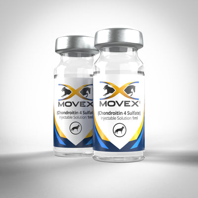 Canine 2 Vial Trial (2 Doses for Over 50 lbs) | Movex | Improve Joint Health With Chondroitin 4 Sulfate IM Injections